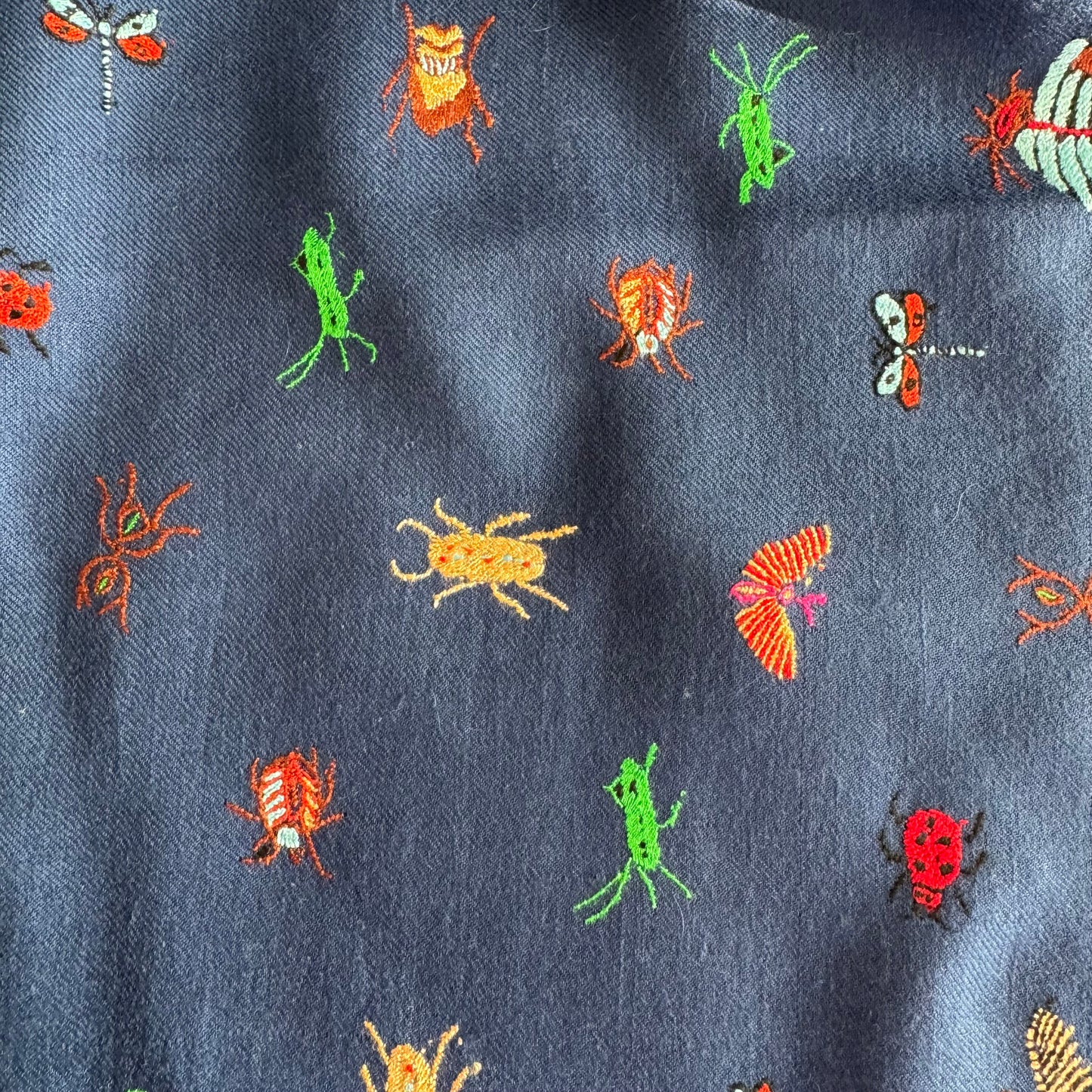 Hand Embroidered Pashmina