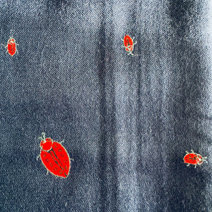 Hand Embroidered Pashmina