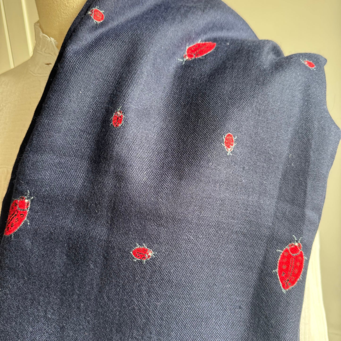 Hand Embroidered Pashmina